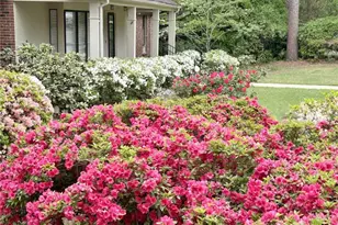 2521 Morganton Rd, Fayetteville, NC 28303 - Photo 3