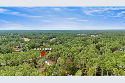 30080 Loblolly Court, Wagram, NC 28396 - Photo 35