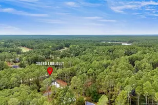30080 Loblolly Ct, Wagram, NC 28396 - Photo 35