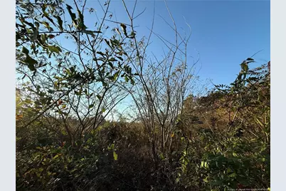 4083 Collier Road, Wade, NC 28395 - Photo 5