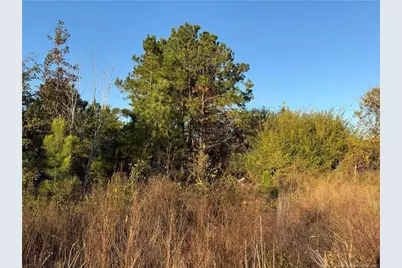 4083 Collier Road, Wade, NC 28395 - Photo 9