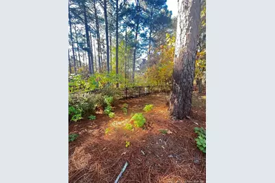 208 Wood Run, Sanford, NC 27332 - Photo 25