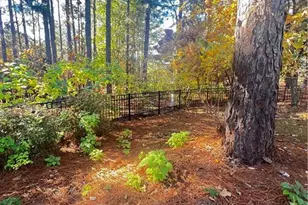 208 Wood Run, Sanford, NC 27332 - Photo 25