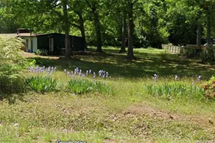 5813 Oak Forest Dr, Raleigh, NC 27616 - Photo 5