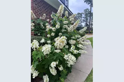 6533 Countryside Drive, Fayetteville, NC 28311 - Photo 47