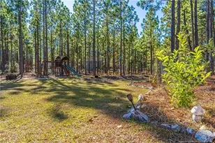 100 Bexley Ct, West End, NC 27376 - Photo 47