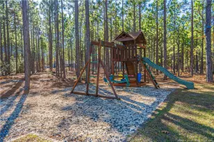 100 Bexley Ct, West End, NC 27376 - Photo 43