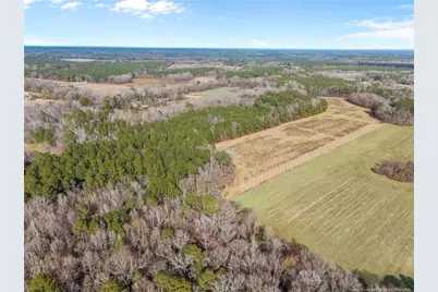 1896 & 0 Clark Road, Lillington, NC 27546 - Photo 3