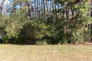 4101 Carson Dr, Sanford, NC 27332 - Photo 29