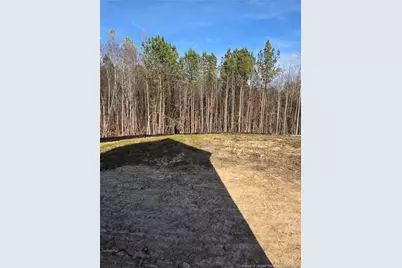 311 One Tree Hill, Sanford, NC 27330 - Photo 3