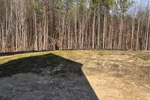 311 One Tree Hill, Sanford, NC 27330 - Photo 3