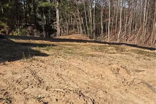 307 One Tree Hill, Sanford, NC 27330 - Photo 13