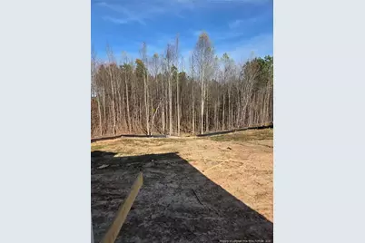 307 One Tree Hill, Sanford, NC 27330 - Photo 3