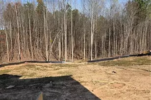 307 One Tree Hill, Sanford, NC 27330 - Photo 3