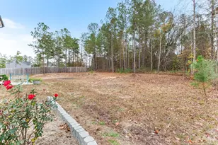 125 Navaho Trail, Sanford, NC 27332 - Photo 43