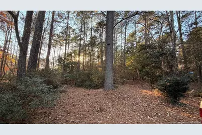 4041 Timber Wolf Circle, Sanford, NC 27332 - Photo 33