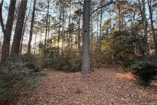 4041 Timber Wolf Cir, Sanford, NC 27332 - Photo 33