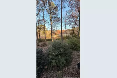 4041 Timber Wolf Circle, Sanford, NC 27332 - Photo 29