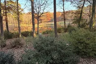 4041 Timber Wolf Cir, Sanford, NC 27332 - Photo 29