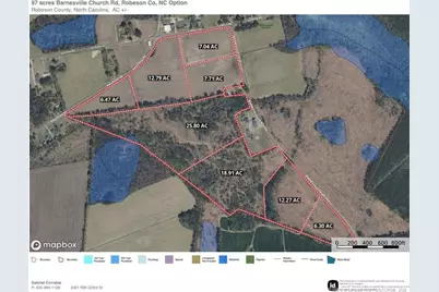 Lot 3 Barnesville Church Road, Orrum, NC 28369 - Photo 7