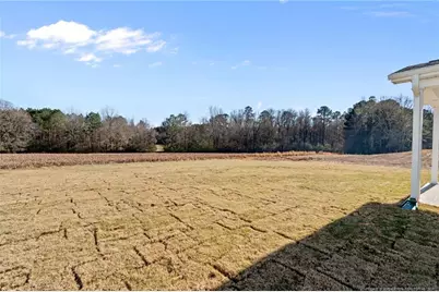 290 Elijah Way, Vass, NC 28394 - Photo 45