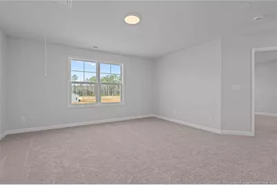 271 Elijah Way, Vass, NC 28394 - Photo 33