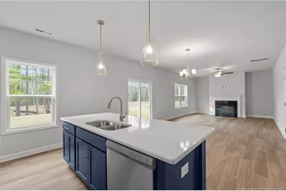 133 Michter Street, Vass, NC 28394 - Photo 17