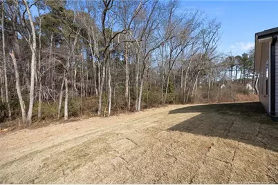 151 Michter Street, Vass, NC 28394 - Photo 47