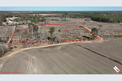 Lot 7 Barnesville Church Road, Orrum, NC 28369 - Photo 7