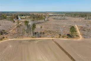 Lot 7 Barnesville Church Rd, Orrum, NC 28369 - Photo 1