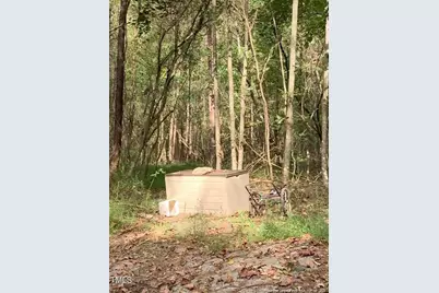 0 J Dowdy Road, Goldston, NC 27252 - Photo 9