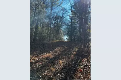 0 J Dowdy Road, Goldston, NC 27252 - Photo 5