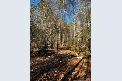 0 J Dowdy Road, Goldston, NC 27252 - Photo 3