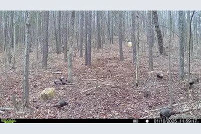 0 J Dowdy Road, Goldston, NC 27252 - Photo 11