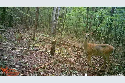 0 J Dowdy Road, Goldston, NC 27252 - Photo 17