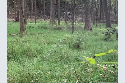 0 J Dowdy Road, Goldston, NC 27252 - Photo 15