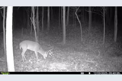 0 J Dowdy Road, Goldston, NC 27252 - Photo 21