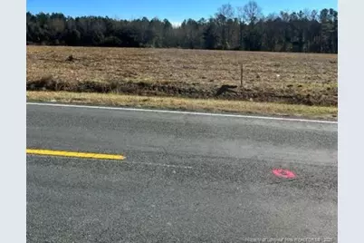 Wire Grass Road, Orrum, NC 28369 - Photo 5