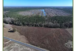 Wire Grass Rd, Orrum, NC 28369 - Photo 1