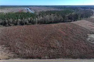 Wire Grass Rd, Orrum, NC 28369 - Photo 1