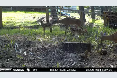 476 Basket Oak Drive, Bunnlevel, NC 28323 - Photo 37