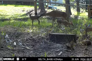 476 Basket Oak Dr, Bunnlevel, NC 28323 - Photo 37