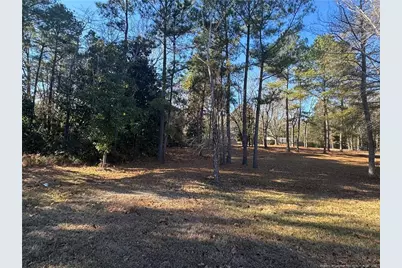 197 Pine Hill Road, West End, NC 27376 - Photo 9