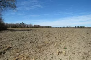 Tbd Kehukee Dr, Parkton, NC 28371 - Photo 13