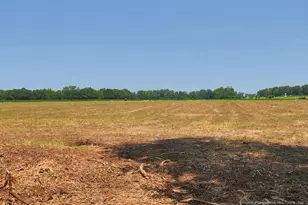 Tbd Kehukee Dr, Parkton, NC 28371 - Photo 13