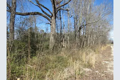 Tbd Kehukee Drive, Parkton, NC 28371 - Photo 13