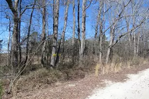 Tbd Kehukee Dr, Parkton, NC 28371 - Photo 11