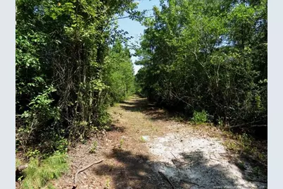 Tbd Alamac (Off Of) Road, Lumberton, NC 28358 - Photo 15