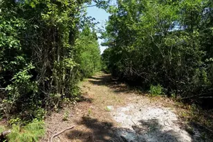 Tbd Alamac (Off Of) Rd, Lumberton, NC 28358 - Photo 15