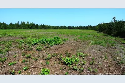 Tbd Alamac (Off Of) Road, Lumberton, NC 28358 - Photo 13